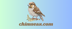 chimseaz.com